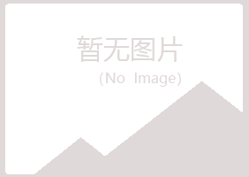 岚山区初夏采矿有限公司